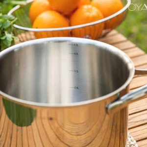 NOI CANH SAU LONG OYATTON 20CM OYT278 5