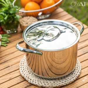 NOI CANH SAU LONG OYATTON 20CM OYT278 7