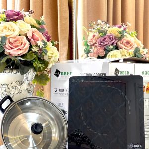 BẾP TỪ ĐƠN ARBER AB301A