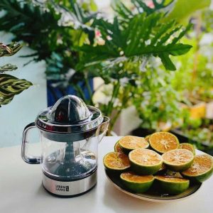 MÁY VẮT CAM LEBENLANG LB389 MAY VAT CAM LEBENLANG LB389 1