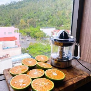 MÁY VẮT CAM LEBENLANG LB389 MAY VAT CAM LEBENLANG LB389 6