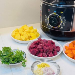 NOI AP SUAT DIEN GUME GM PC2838 10