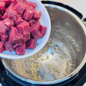 NOI AP SUAT DIEN GUME GM PC2838 4