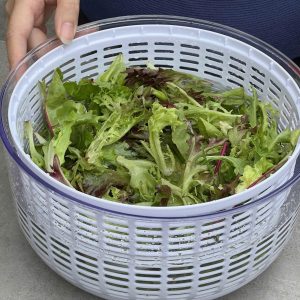 Ro quay rau li tam Kaiyo 5.5L 10