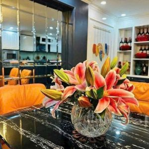 Lọ Hoa Cầu Tròn Pha Lê Bohemia Sheffield 17,5cm