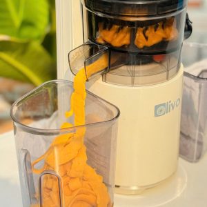 MÁY ÉP CHẬM OLIVO SJ2000 MAY EP CHAM OLIVO SJ2000 5