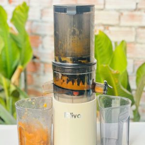 MÁY ÉP CHẬM OLIVO SJ2000 MAY EP CHAM OLIVO SJ2000 8