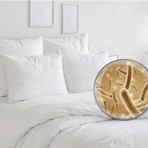 May hut dem 2LOCK MC 350 9