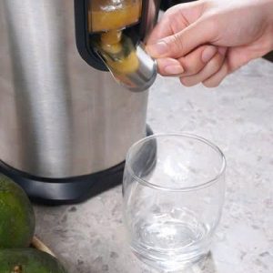 MAY VAT CAM GKOCH GERMANY 02