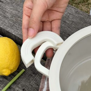 Noi nhom duc nguyen khoi day tu Elegant Kaiyo 15