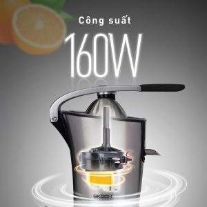 MÁY VẮT CAM GKÖCH GERMANY MAY VAT CAM GKOCH GERMANY 14